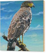 Congo Serpent Eagle Wood Print