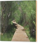 Convict Lake Loop Trail Wood Print