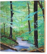 Cool Mountain Stream Wood Print