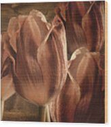 Copper Tulips Wood Print