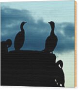 Cormorants In Silhouette Wood Print