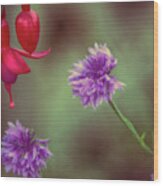 Cornflowers And Fuschia Wood Print