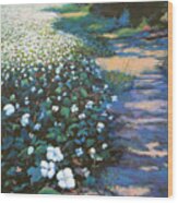 Cotton Field Wood Print