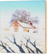 Cottonwood Ranch, Kansas Wood Print