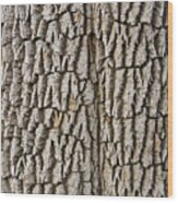 Cottonwood Tree Texture Print Wood Print