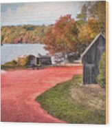 Country Cranberry Farm Wood Print