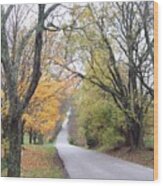 Country Road Through Autumn Wood Print