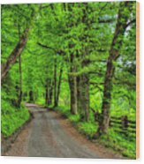 Country Roads Wood Print