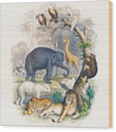 Cover Of A History Of The Earth And Animated Nature Wood Print