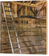 Cow Barn Ladder Wood Print