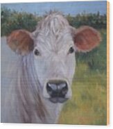 Cow Painting Ms Ivory Wood Print