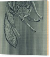 Coyote Wood Print