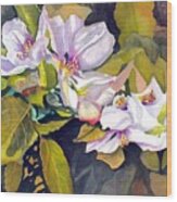 Crabapple Bonsai In Bloom Wood Print