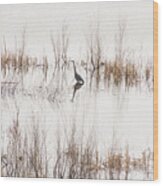 Crane In Reeds Wood Print