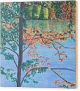 Crawford Lake On Wood Print
