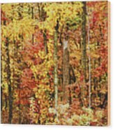 Crayola Autumn Wood Print