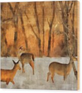Creatures Of A Winter Sunset Wood Print