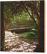 Creek Crossing Wood Print