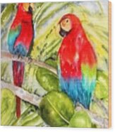 Crimson Macaws Wood Print