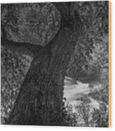 Crooked Oak Black And White Wood Print