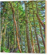 Crooked Trees Of Mt Roberts Wood Print