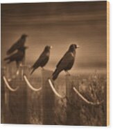 Crows Wood Print