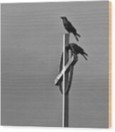 Crows On Steeple Wood Print