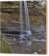 Cucumber Falls In Ohiopyle State Park - Pennsylvania Wood Print
