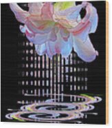 Curtain Of Dreams - Amaryllis Abstract Wood Print