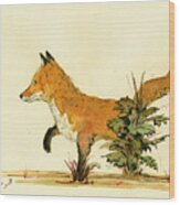 Cute Fox In The Forest Wood Print