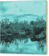 Cyan Dreaming - Sarasota Pond Wood Print