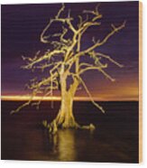 Cypress At Sunset 2860 Wood Print