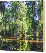 Cypress Pond -1 Wood Print
