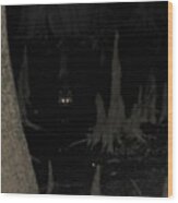 Cypress Raccoon Wood Print