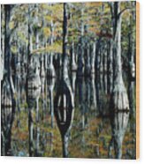 Cypress Reflections Wood Print