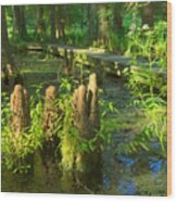 Cypress Swamp 2 Wood Print