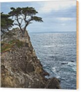 Cypress Tree On The Point Wood Print