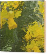 Daffodil Impressions Wood Print