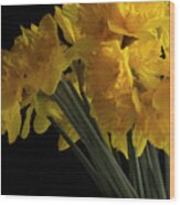 Daffodil Wood Print