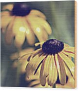 Daisies Wild Flowers Wood Print