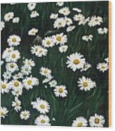 Daisy Bouquet Wood Print