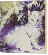 Daisy Cat Wood Print