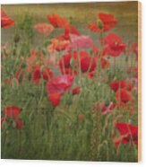 Dance Through The Poppies Wood Print