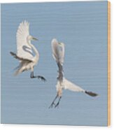 Dancing Egrets 2017-2 Wood Print