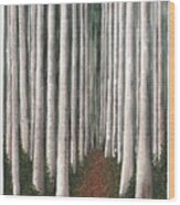 Dark Forest Wood Print