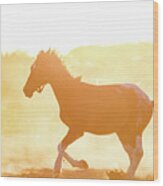 Dark Purebred Horse Gallopading On The Sand Wood Print