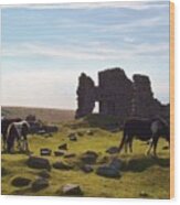 Dartmoor Ponies Foggintor Quarry Wood Print