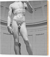 Michelangelo David Marble Statue, Accademia Gallery, Florence, Italy Wood Print