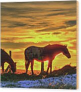Dawn Horses Wood Print