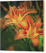 Day Lily Wood Print